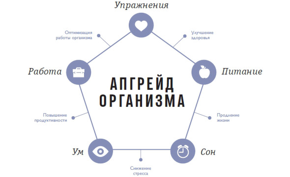 Первая школа биохакинга схемы