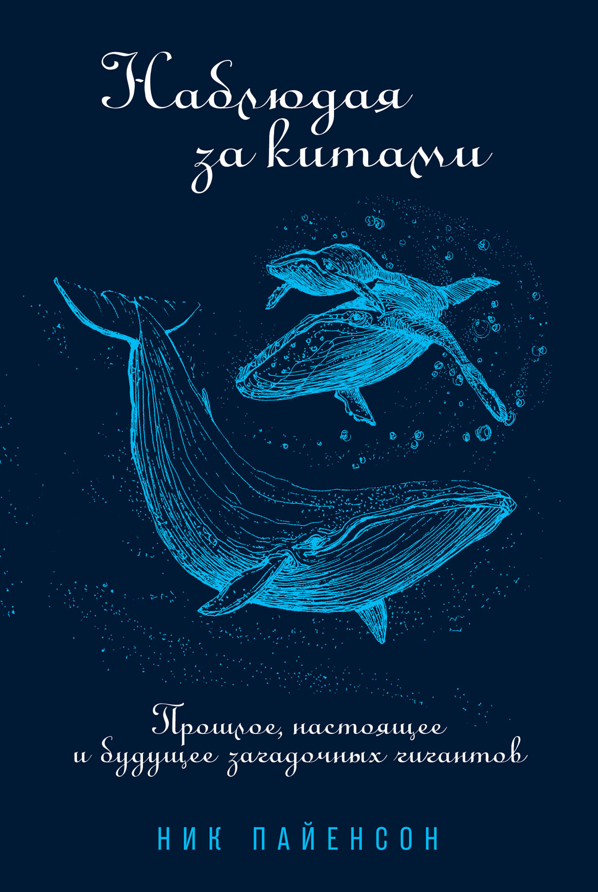 Книга про кита. Наблюдая за китами ник Пайенсон. Книга наблюдая за китами. Книга о китах. Книги про китов.