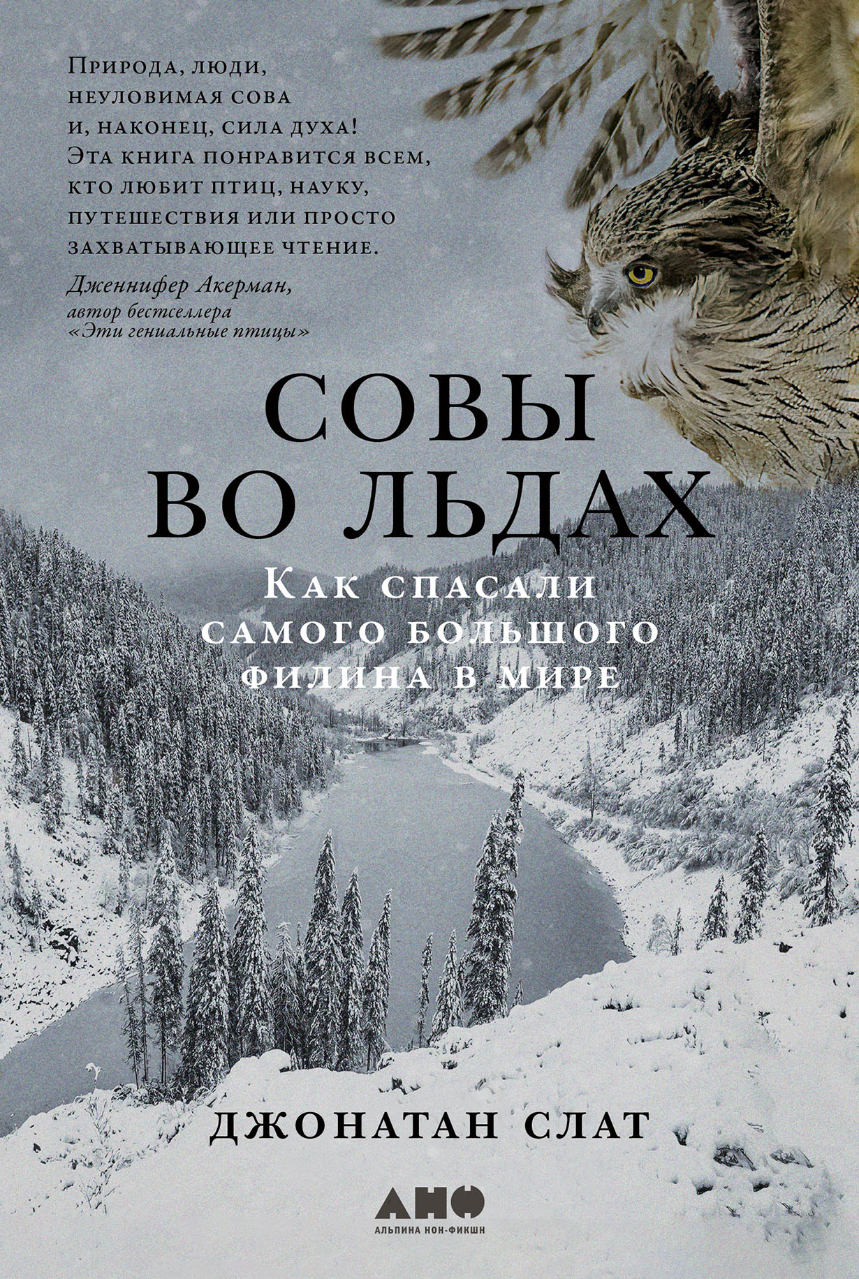 Совы во льдах: Как спасали самого большого филина в мире — купить книгу  Джонатана Слата на сайте alpinabook.ru