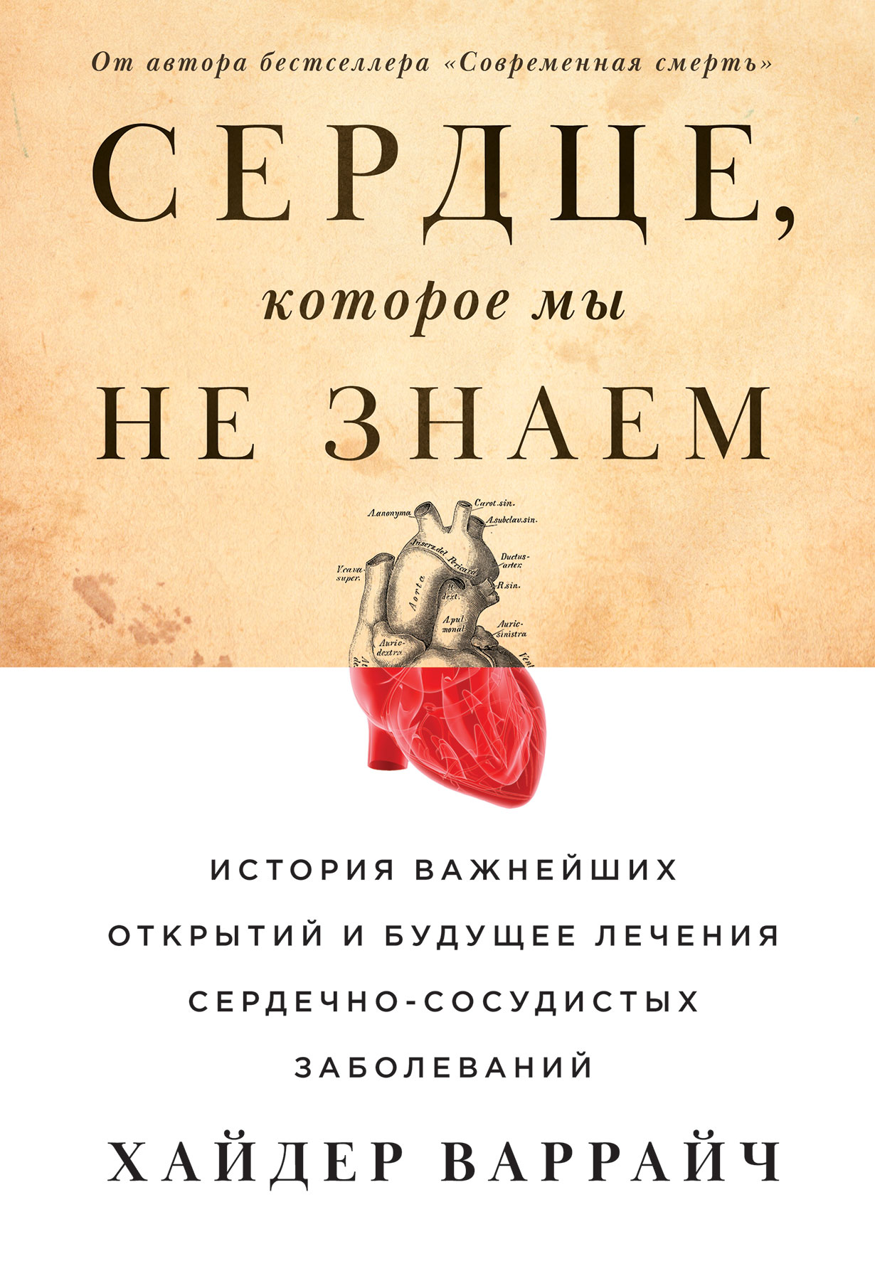 Сердце, которое мы не знаем: История важнейших открытий и будущее лечения сердечно-сосудистых заболеваний