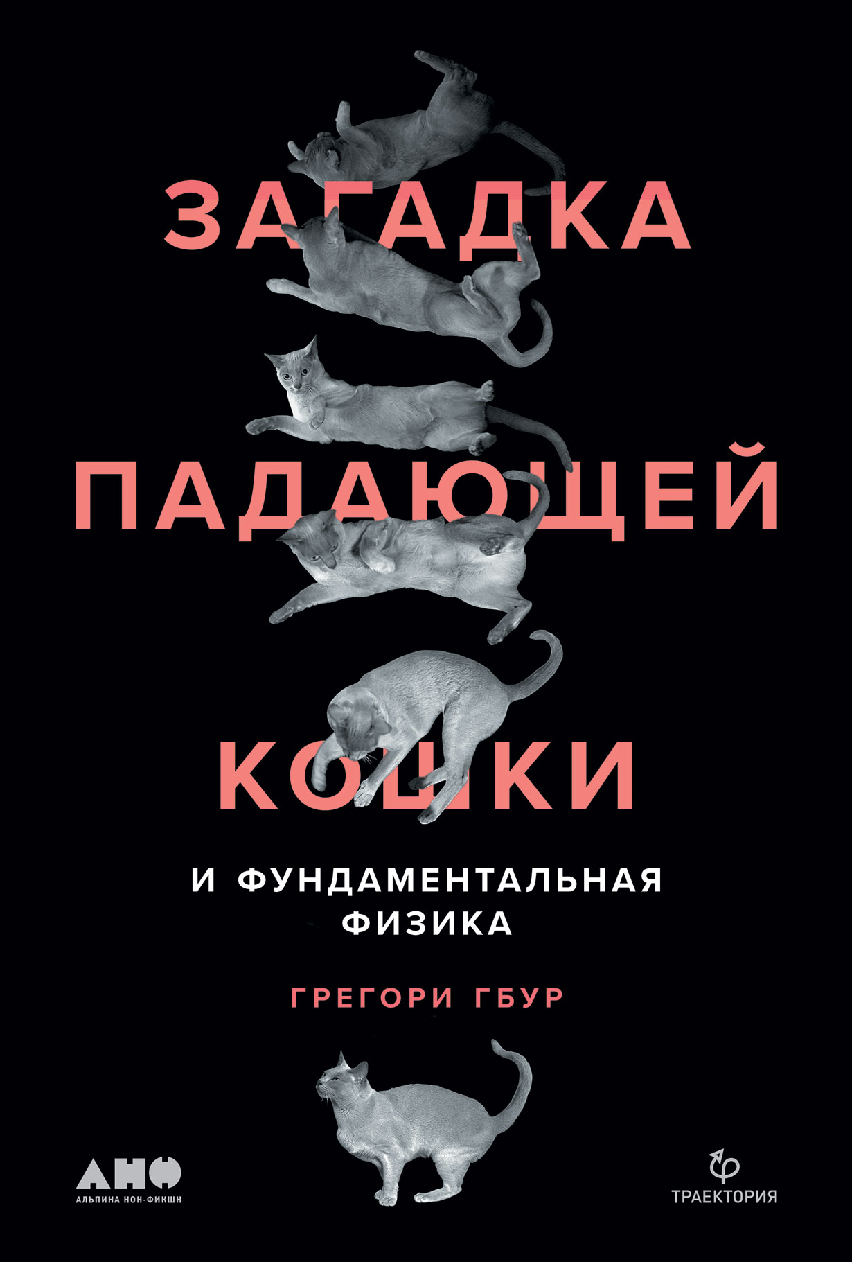 Загадка падающей кошки и фундаментальная физика — купить книгу Грегори  Гбура на сайте alpinabook.ru