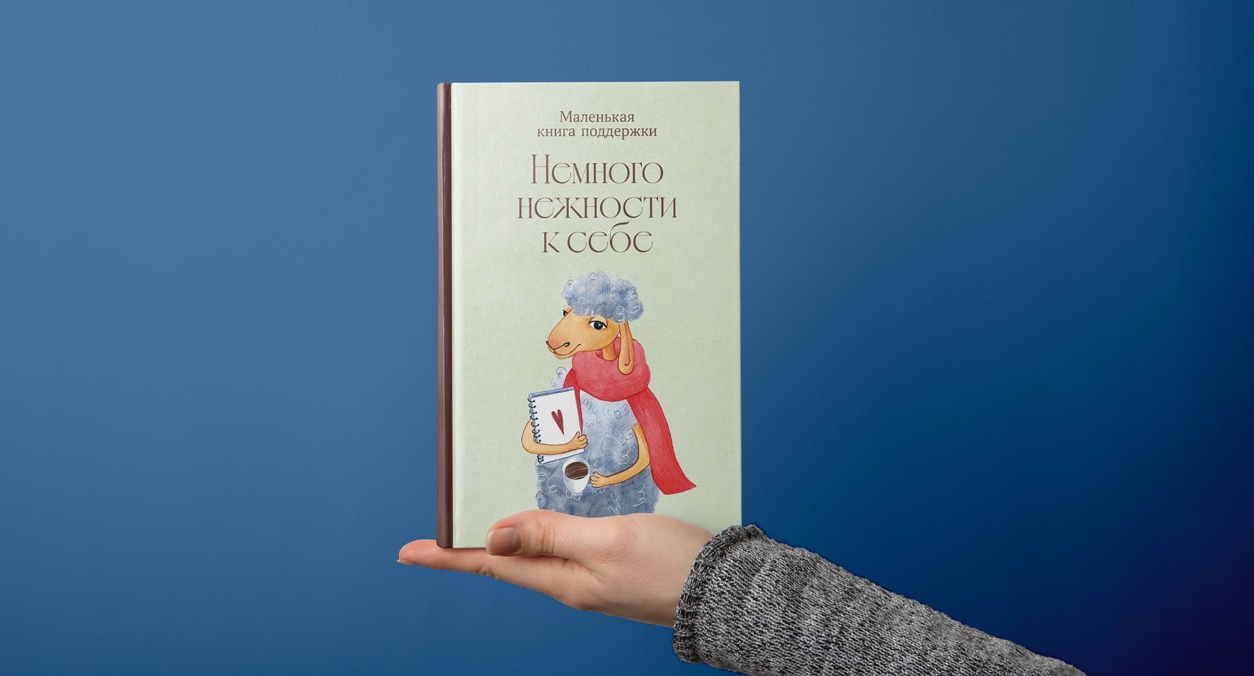 Книга-поддержка с картинками