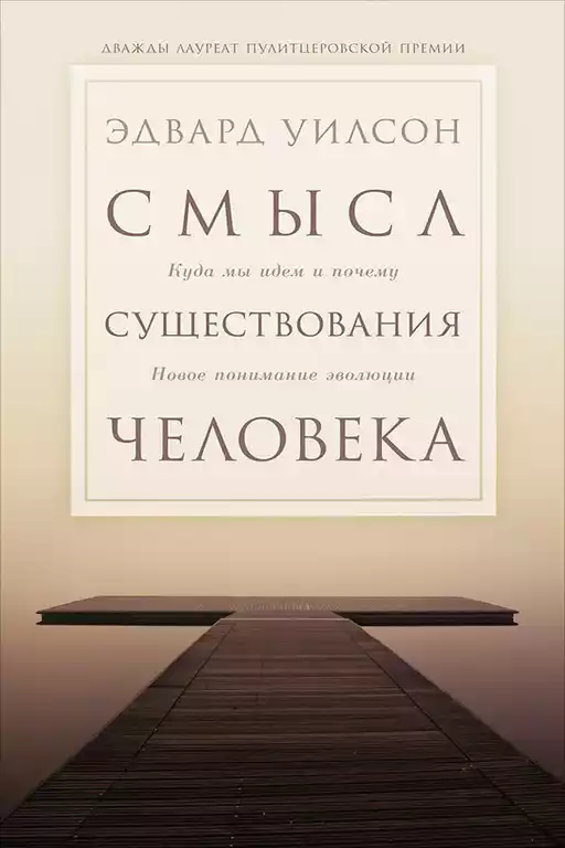 Смысл существования человека обложка.