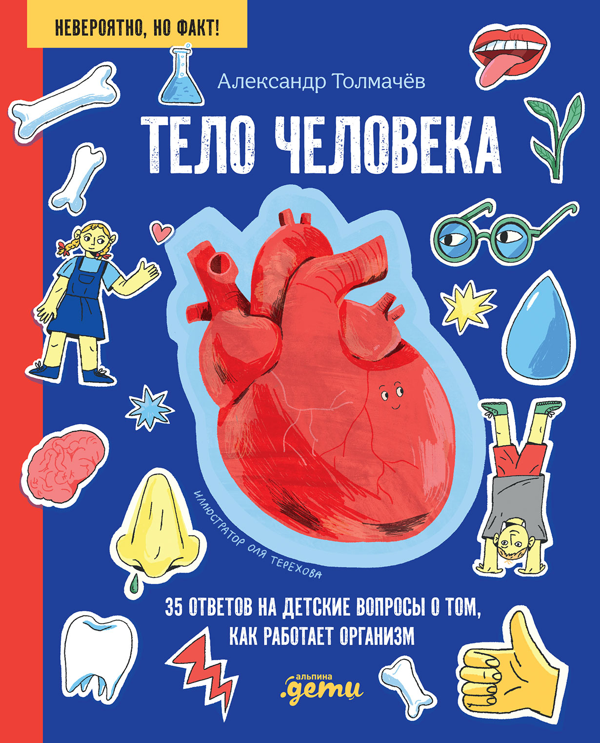 Тело человека. 35 ответов на детские вопросы о том, как работает организм