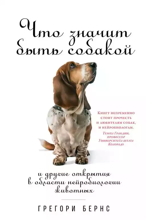 Почему собаки лают на некоторых людей. Как они выбирают неприятелей?