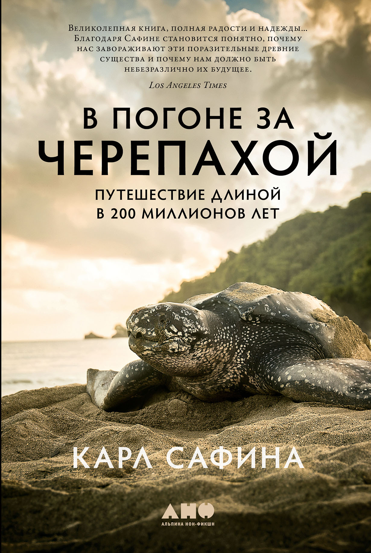 В погоне за черепахой: Путешествие длиной в 200 миллионов лет — купить книгу  Карла Сафина на сайте alpinabook.ru