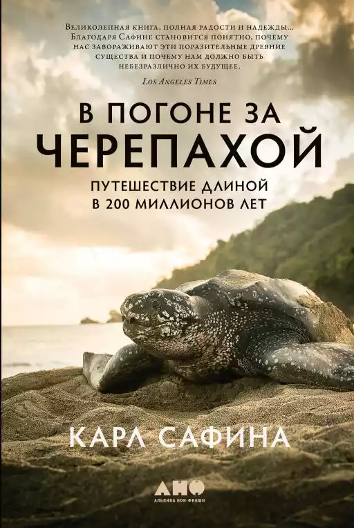 В погоне за черепахой обложка.