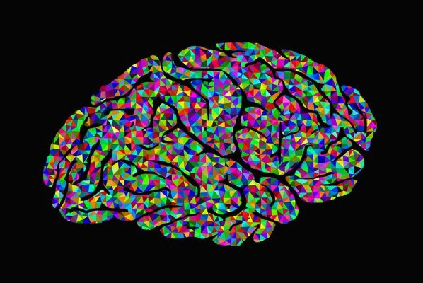 Как прокачать свой мозг: 5 интересных ресурсов