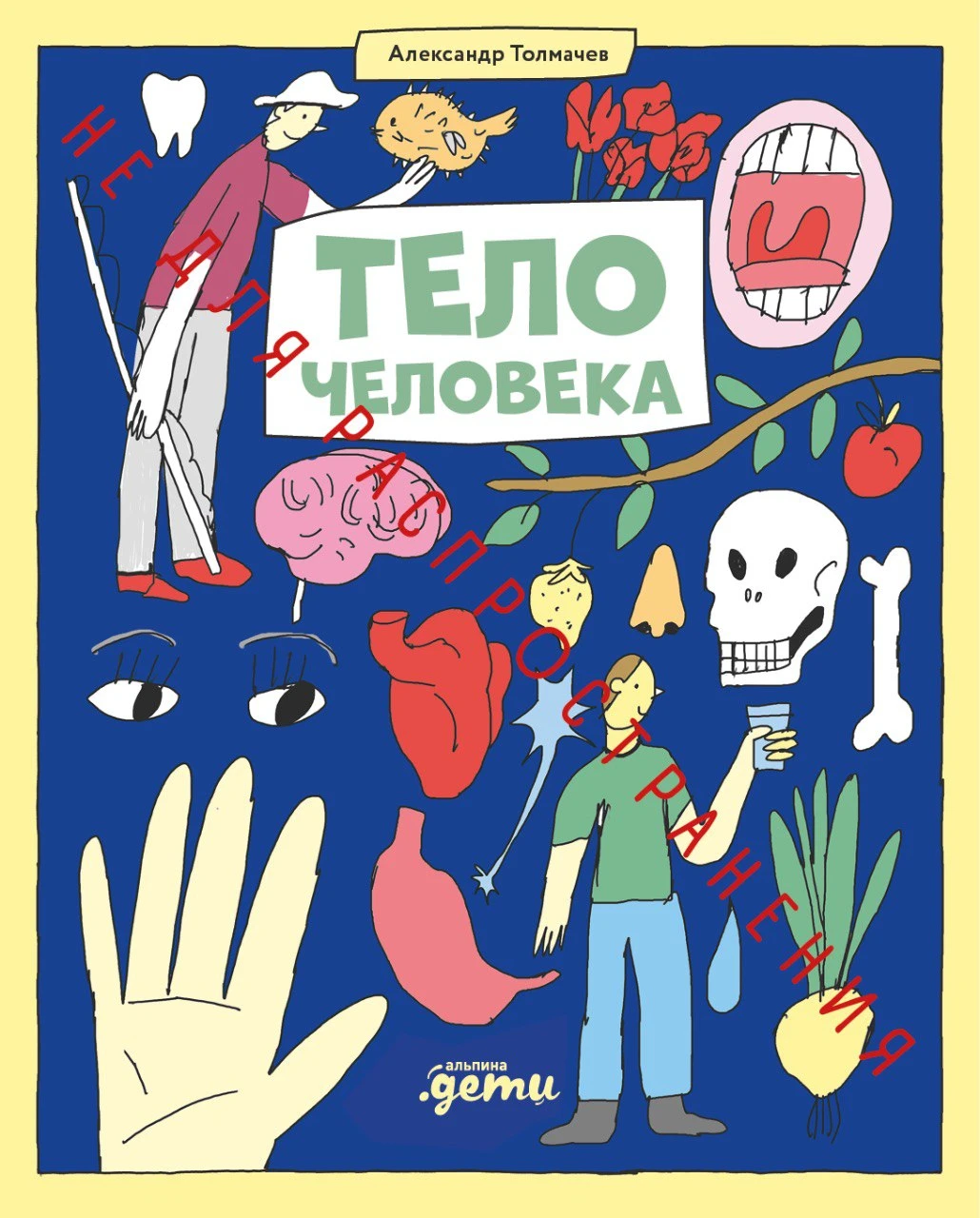 Тело человека обложка.