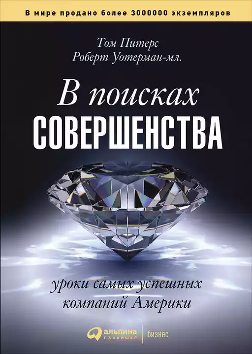 В поисках совершенства обложка.