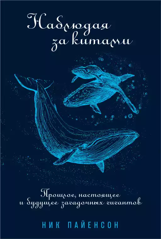 обложки книг, шаблоны