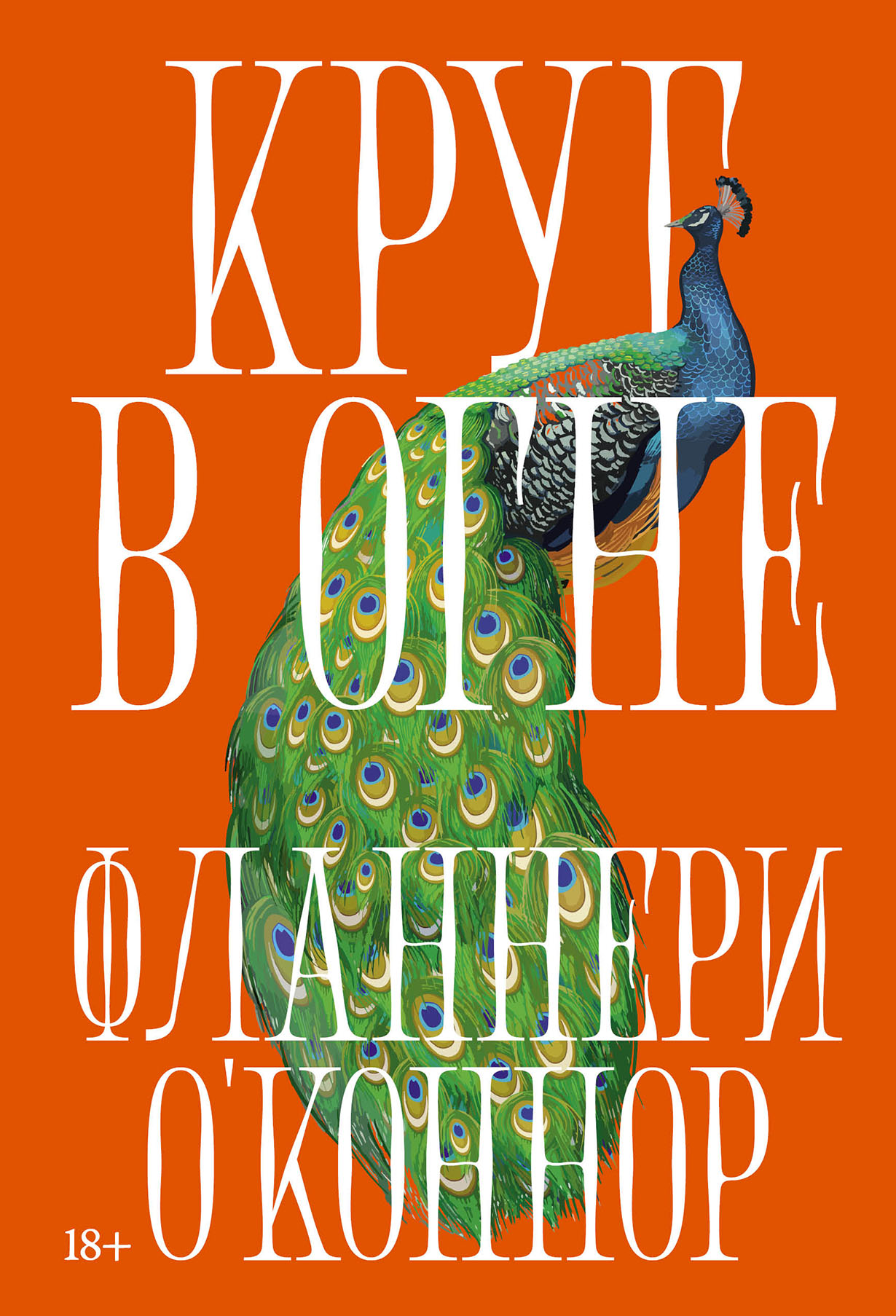 Круг в огне: Рассказы