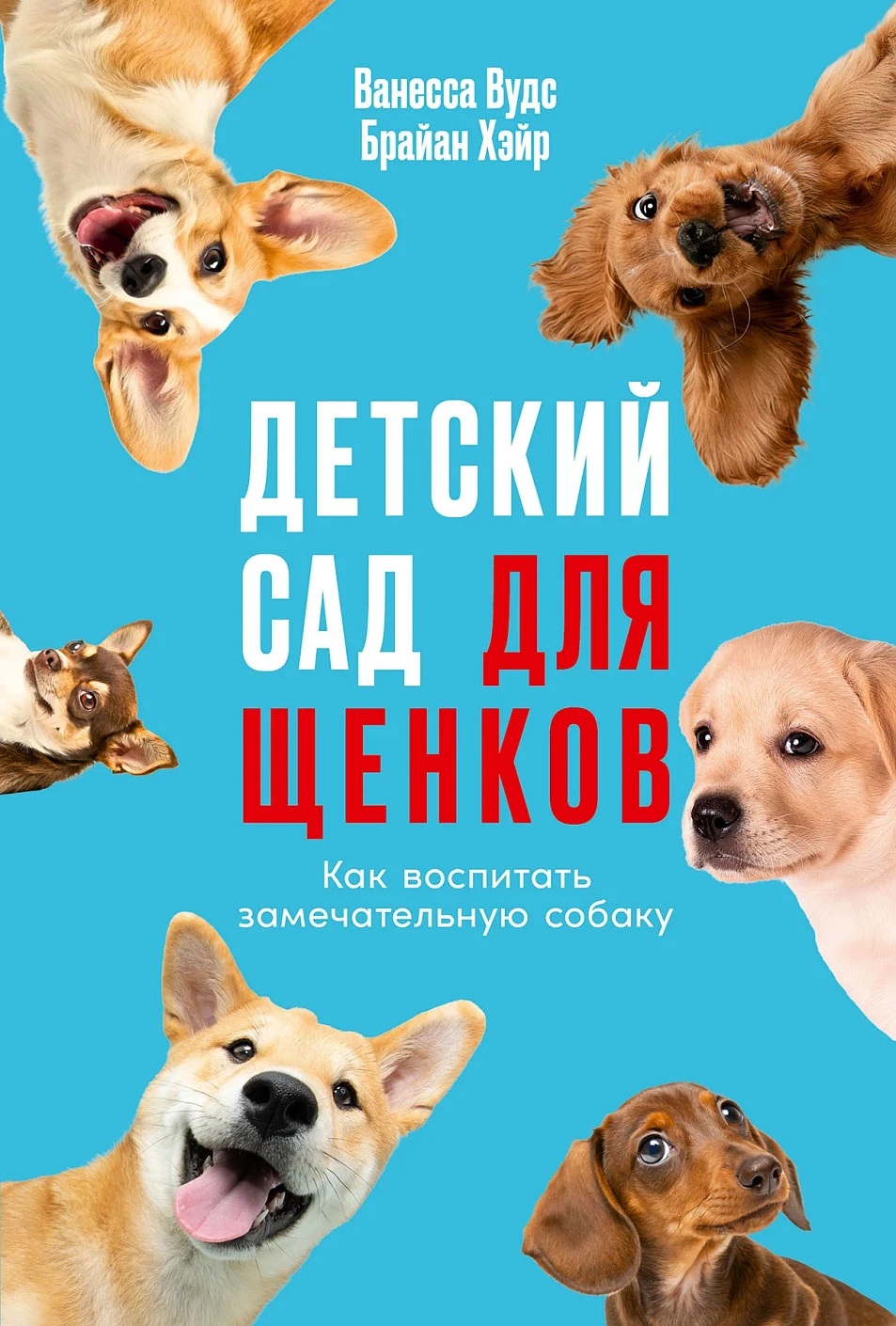 Детский сад для щенков обложка.