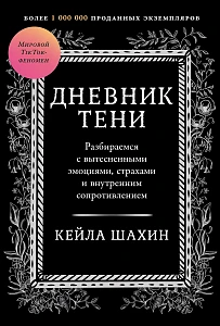 Дневник Тени обложка.