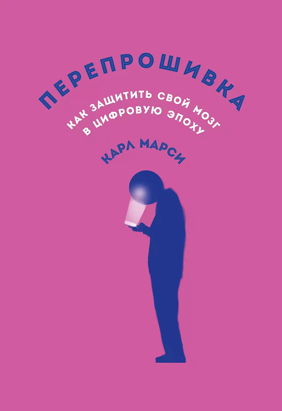 Перепрошивка обложка.
