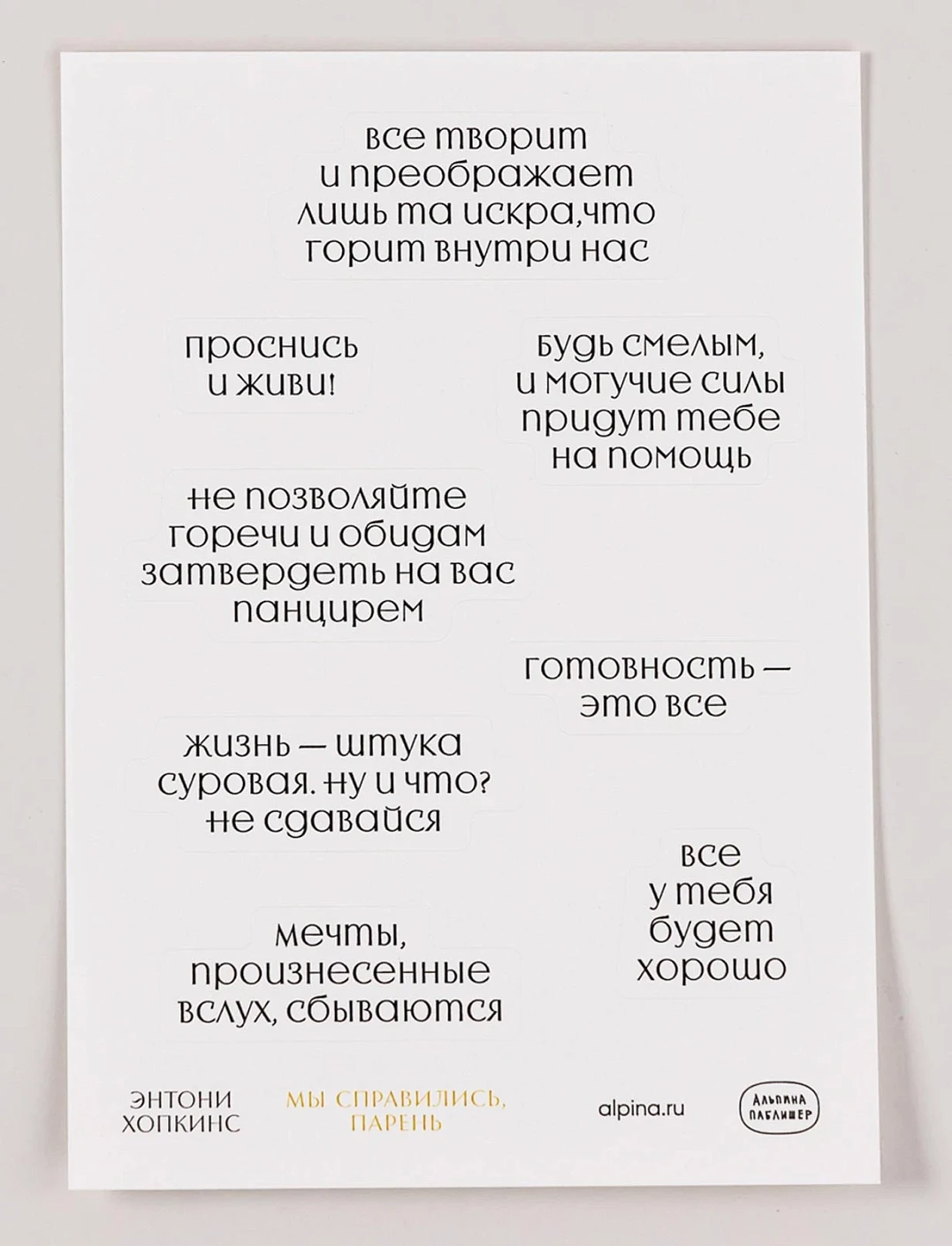 Набор стикеров «Мы справились, парень» обложка.