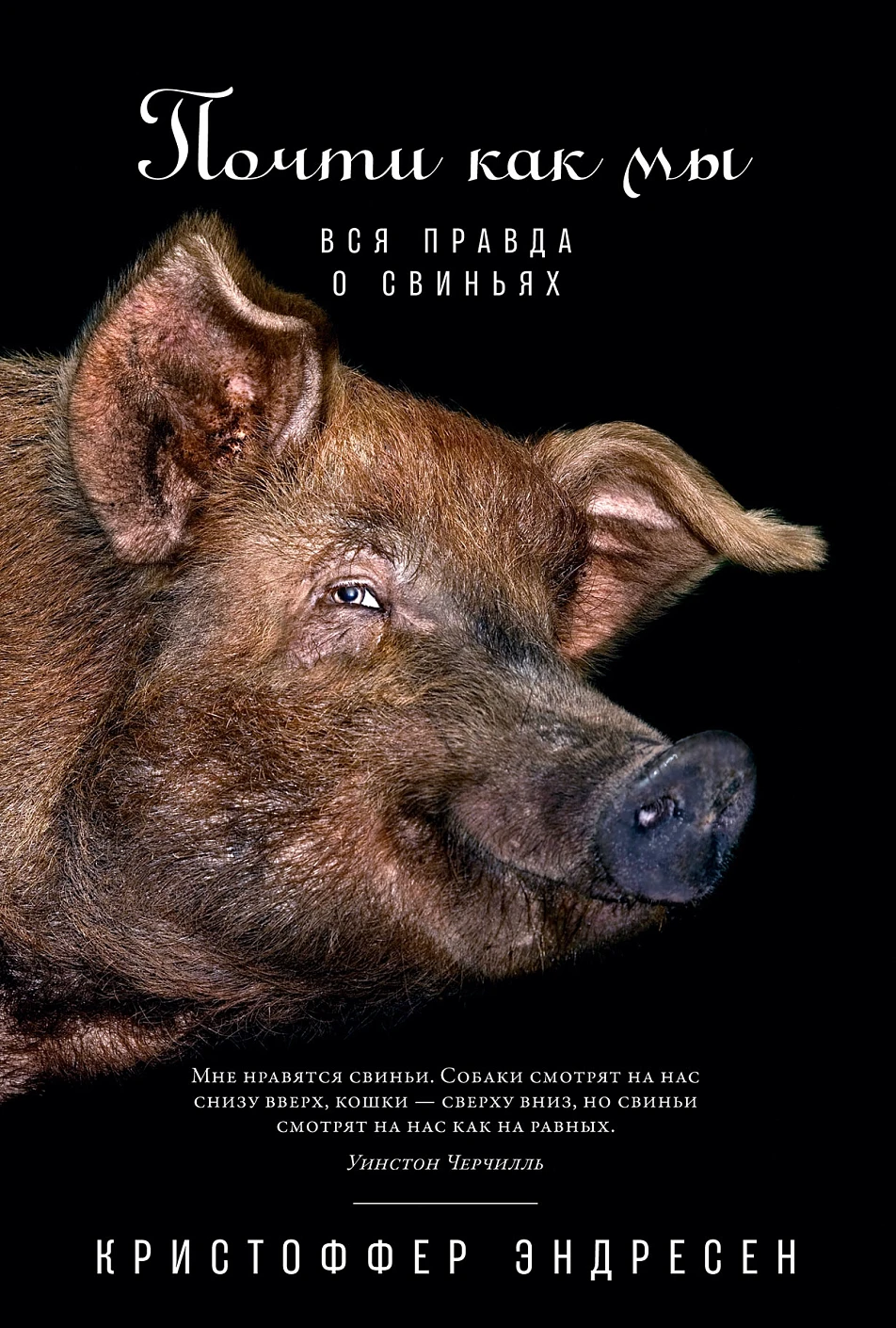 Почти как мы обложка.