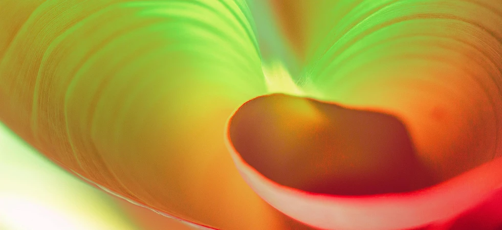 Мультивселенная. Что мы о ней знаем?