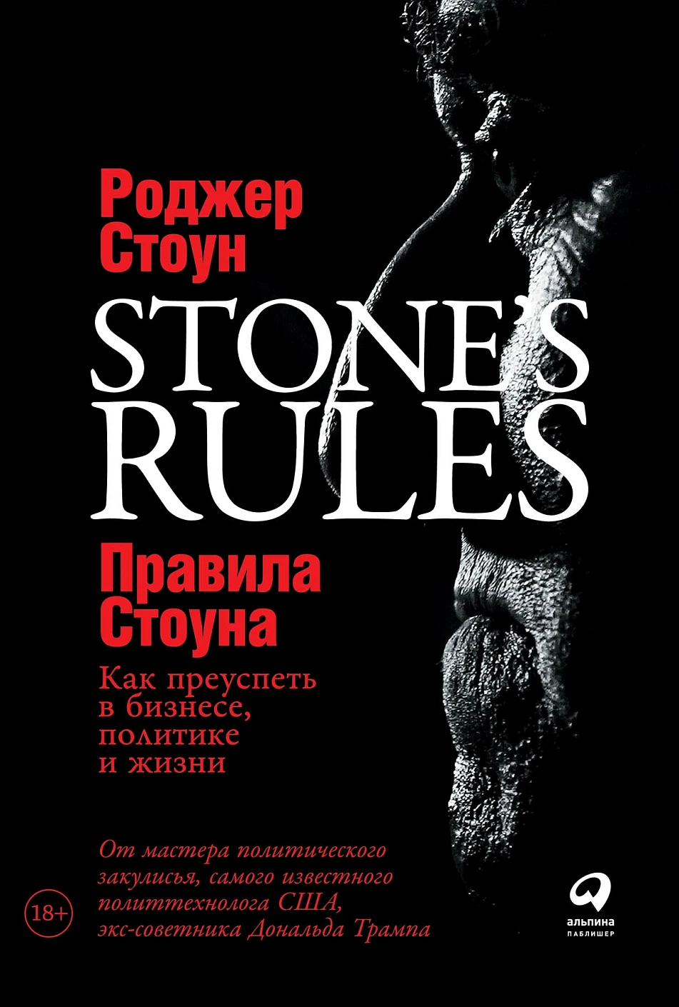 Правила Стоуна обложка.