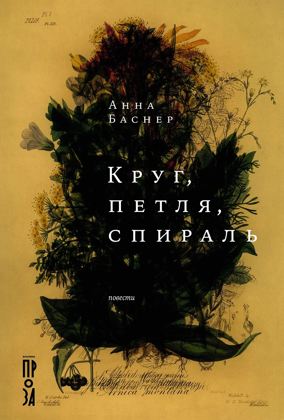 Круг, петля, спираль обложка.