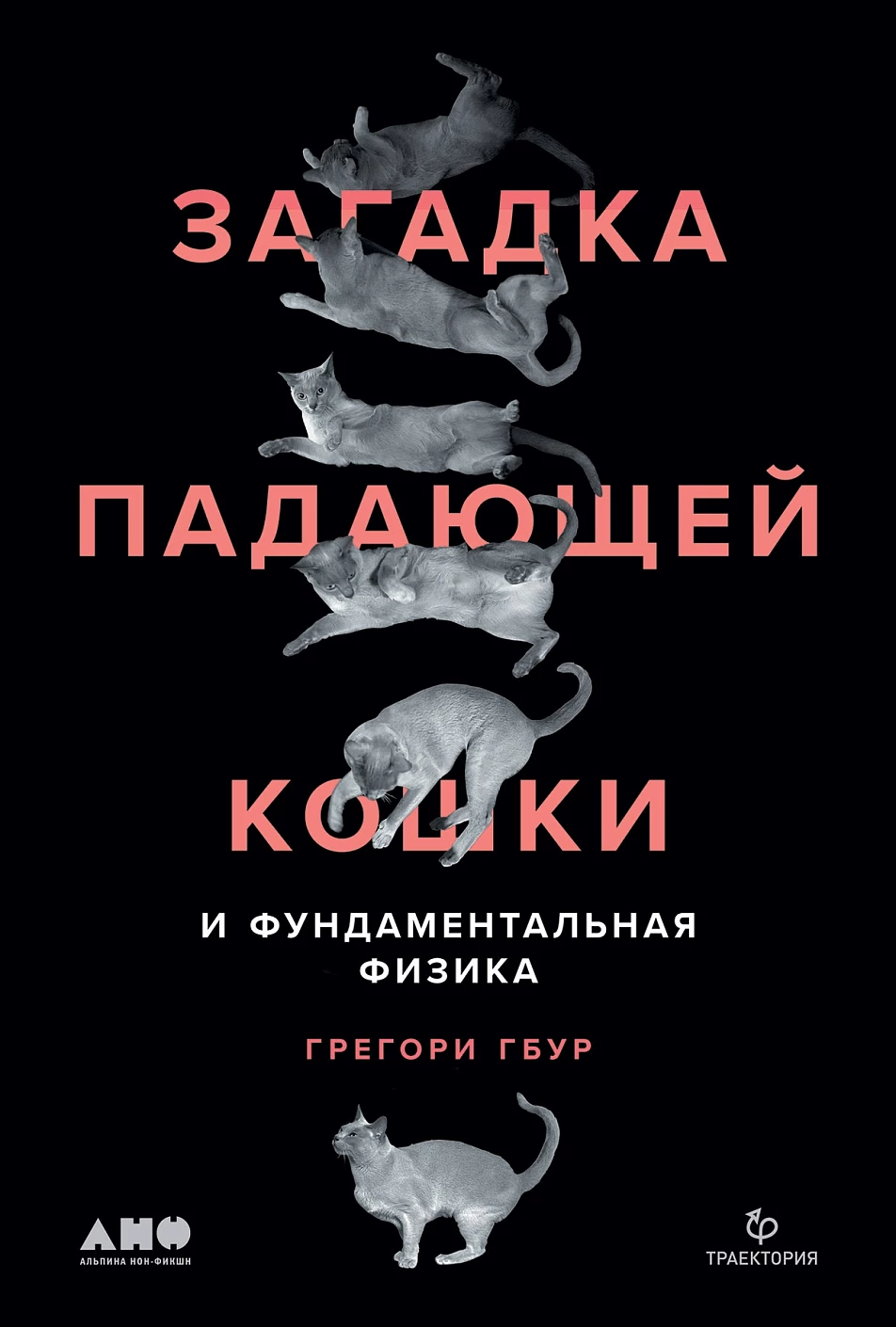 Загадка падающей кошки обложка.