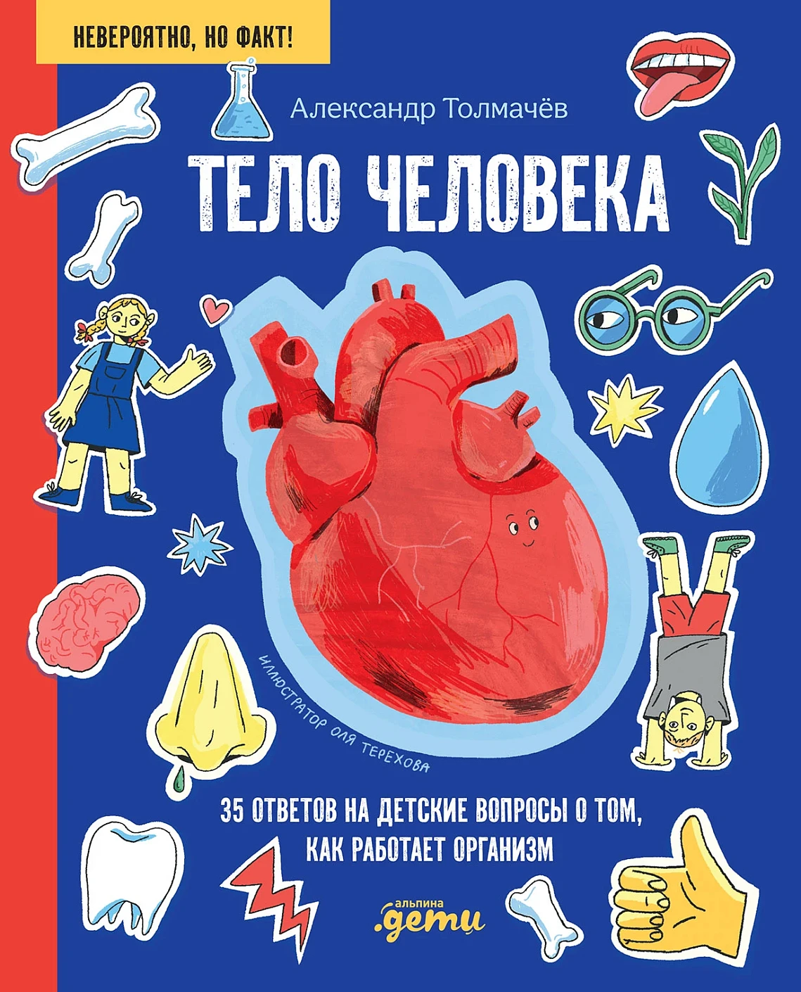 Тело человека обложка.