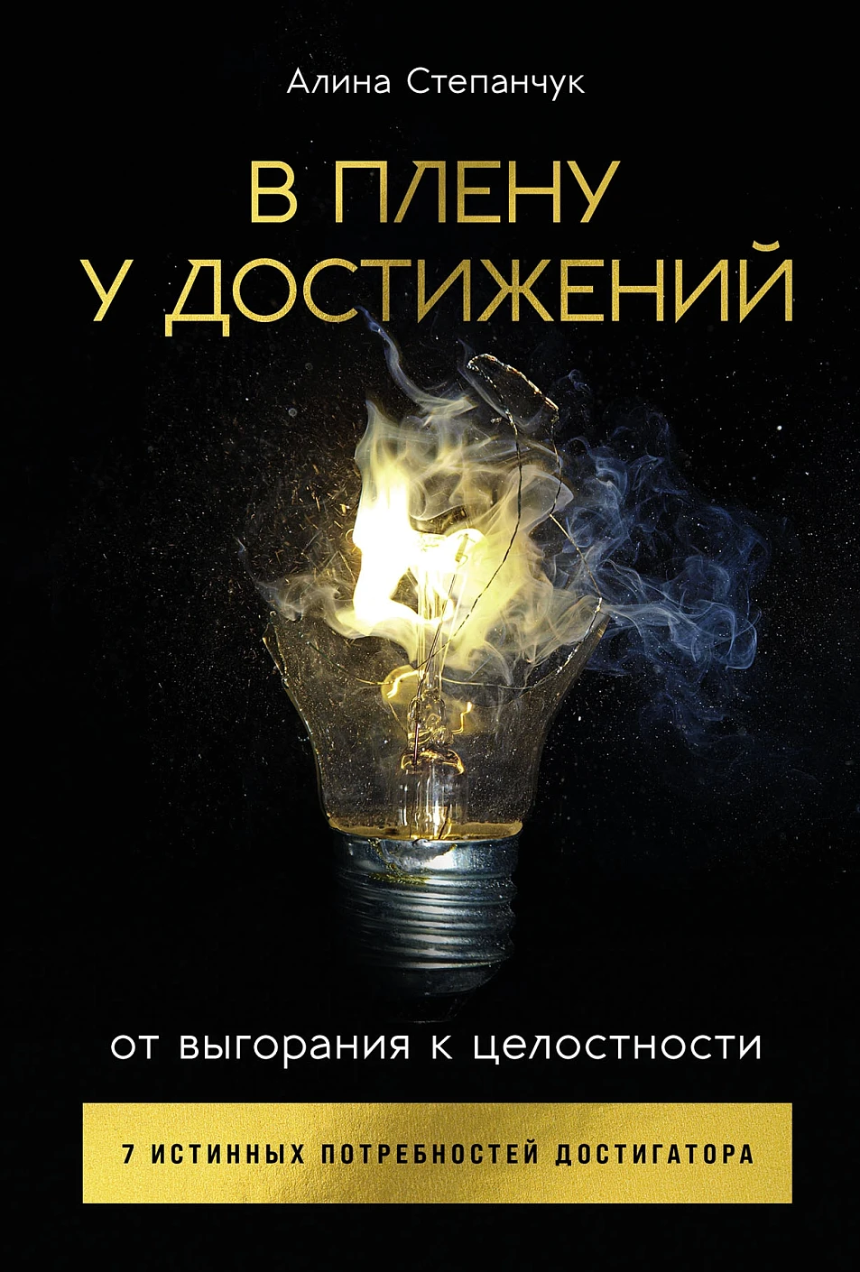 В плену у достижений обложка.