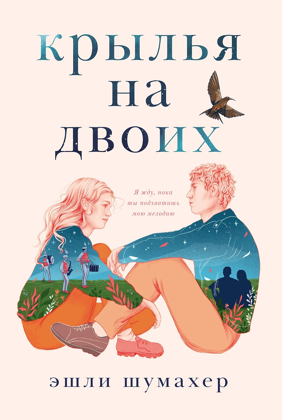 Крылья на двоих обложка.