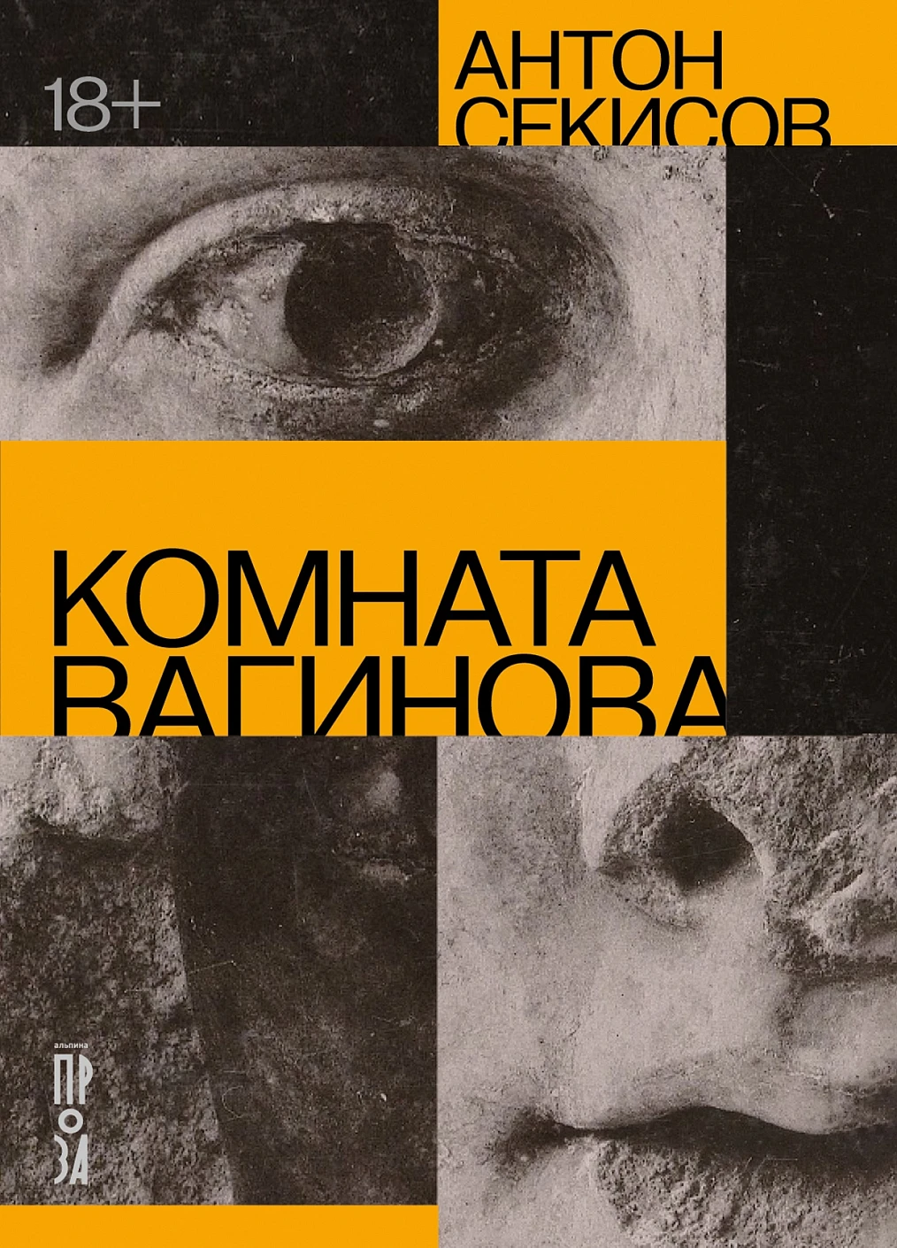 Комната Вагинова обложка.