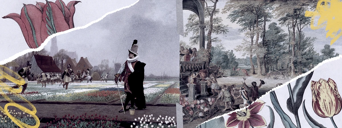 Как тюльпан довел Голландию до экономической катастрофы, а людей до безумия