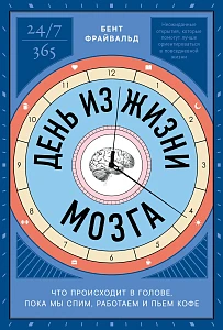 День из жизни мозга обложка.