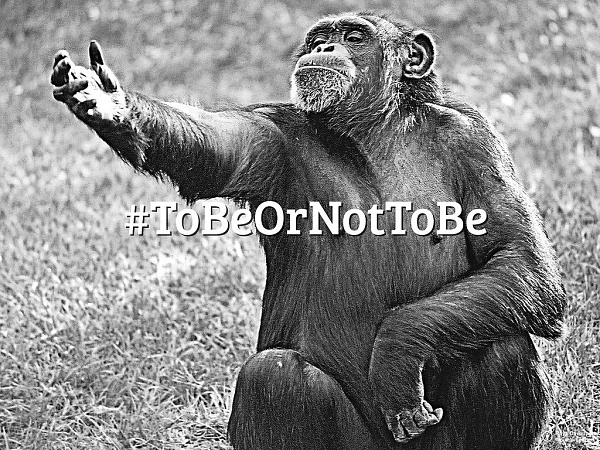 Keep calm and to be or not to be!