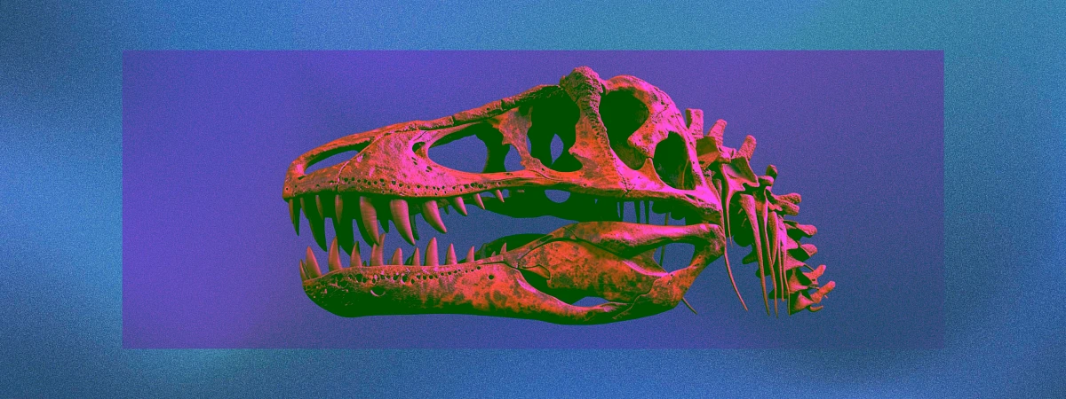 Куда сходить, чтобы увидеть ужасных ящеров 