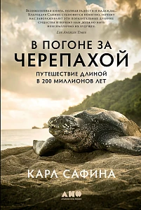 В погоне за черепахой обложка.