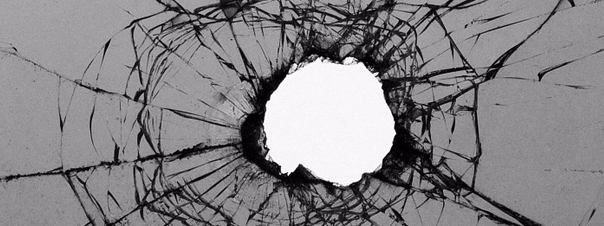 Тревожные сигналы: как предотвратить стрельбу в школах и вузах