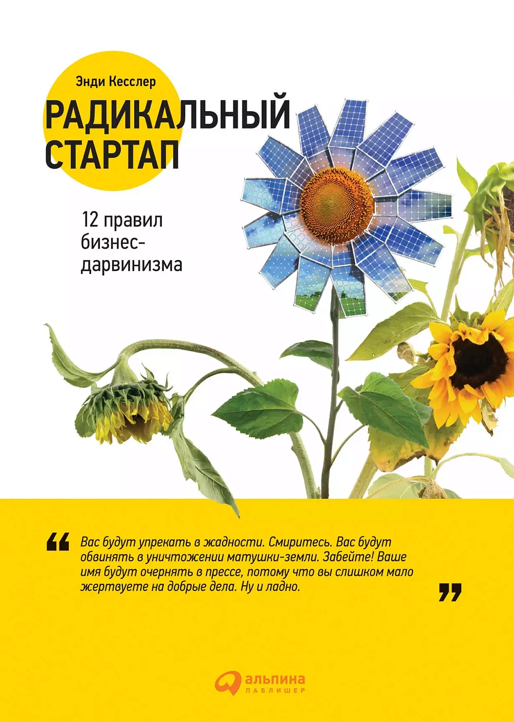 Радикальный стартап обложка.