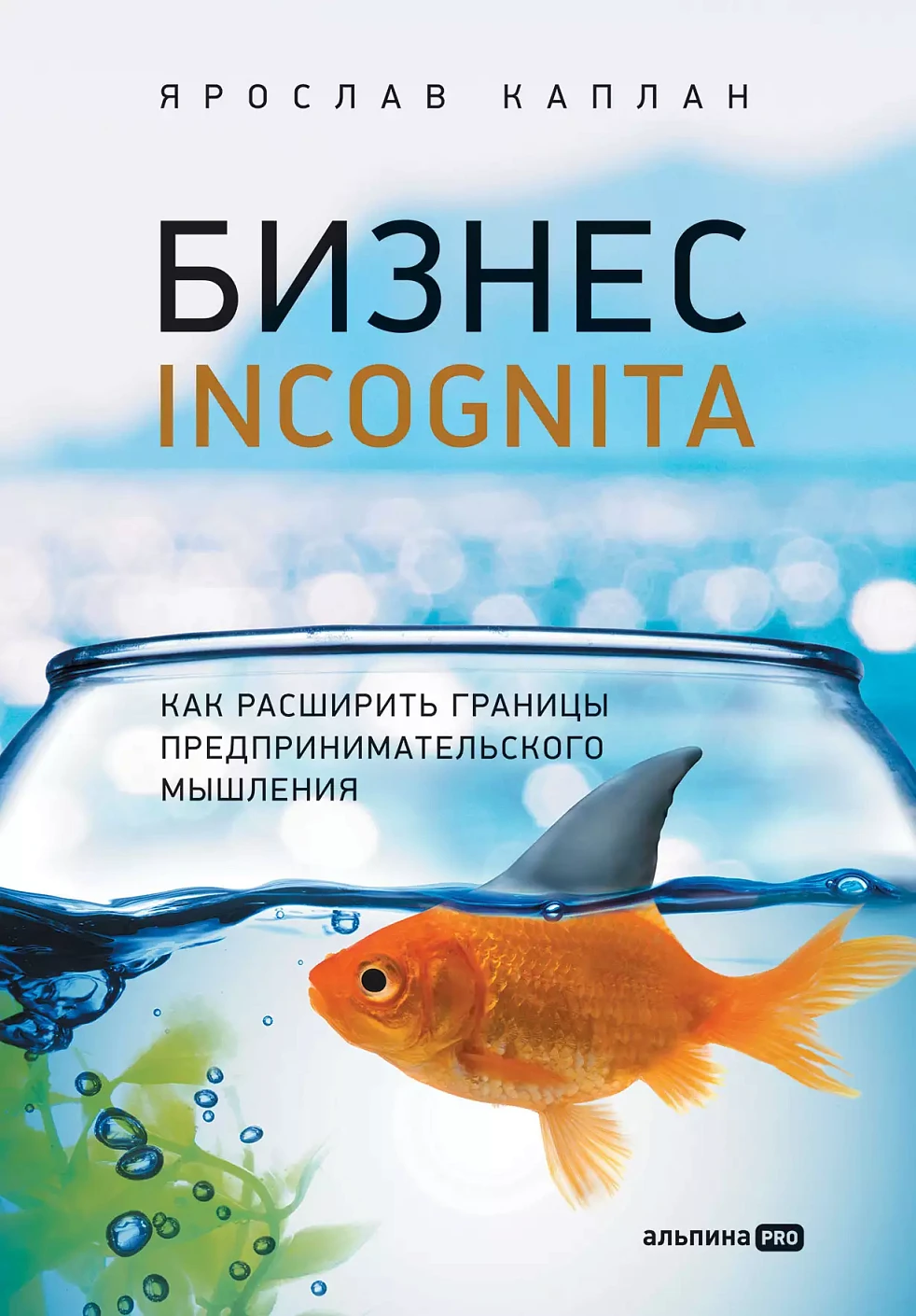 Бизнес incognita обложка.