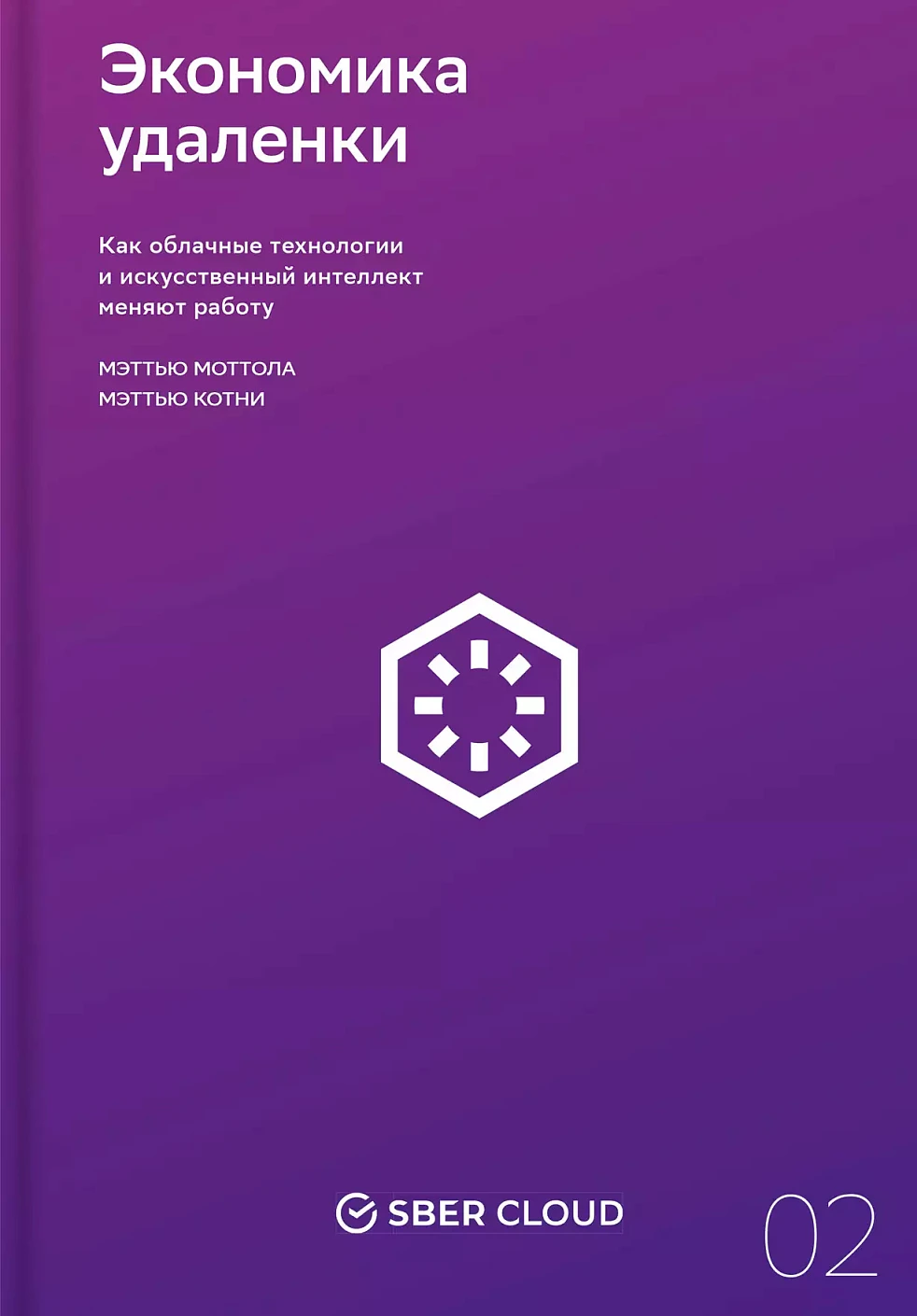 Экономика удаленки обложка.