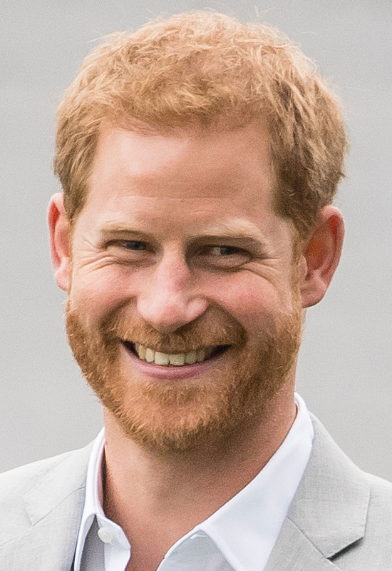 Принц Гарри герцог Сассекский