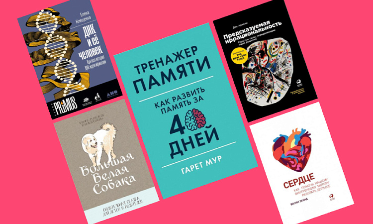 Новинки августа!