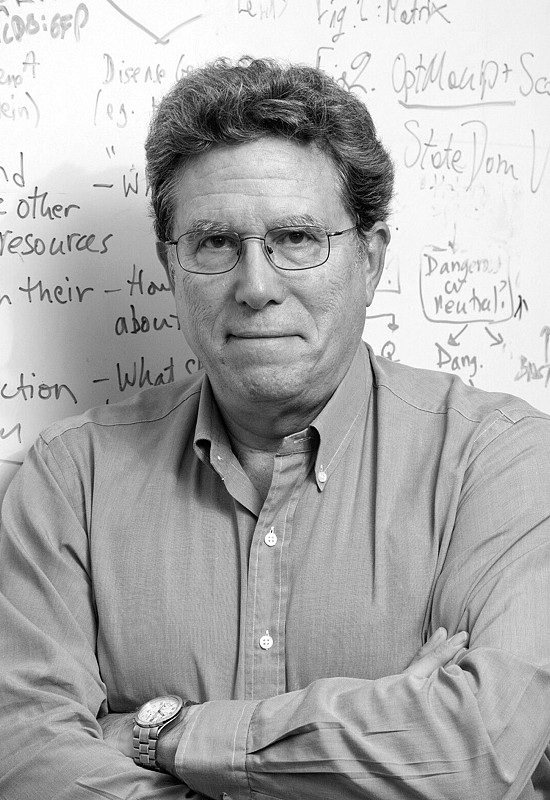 Дэвид Андерсон