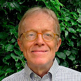 Дэвид Стипп