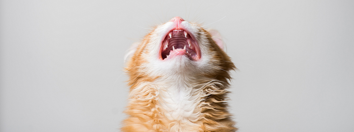 Как подготовиться к осени морально и физически