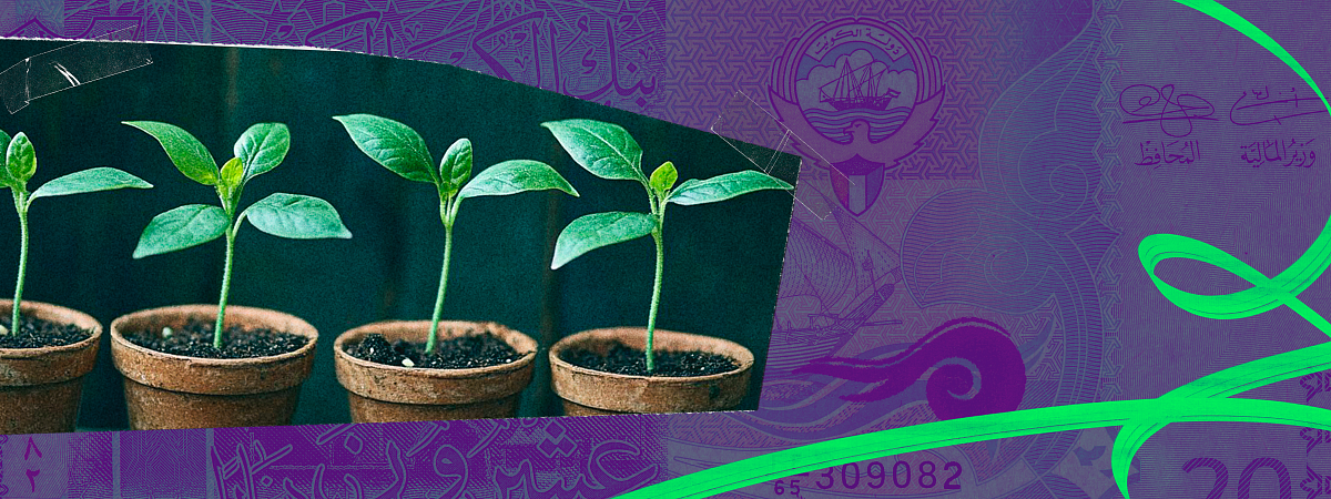 Хобби, которое платит: как монетизировать свои интересы