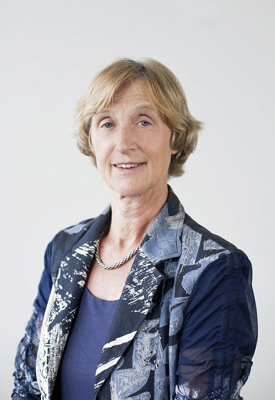 Карел Дэвидс