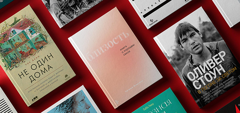 13 главных новинок ноября