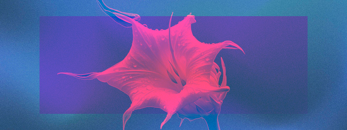 Ядовитый сад: фотографии опасных растений, которые вырастила Эми Стюарт