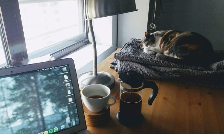 Встать пораньше и найти счастье