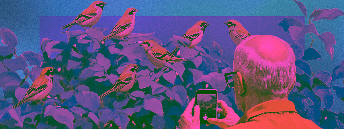 Научное волонтерство: хобби, которое приносит пользу