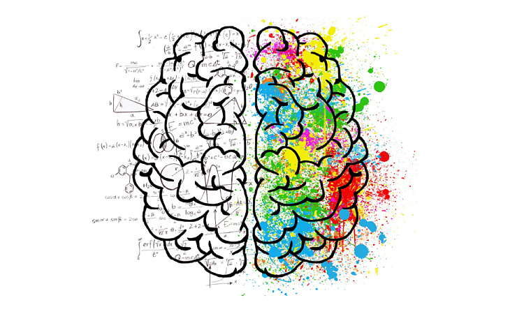 Все дело в голове: как заставить мозг работать?